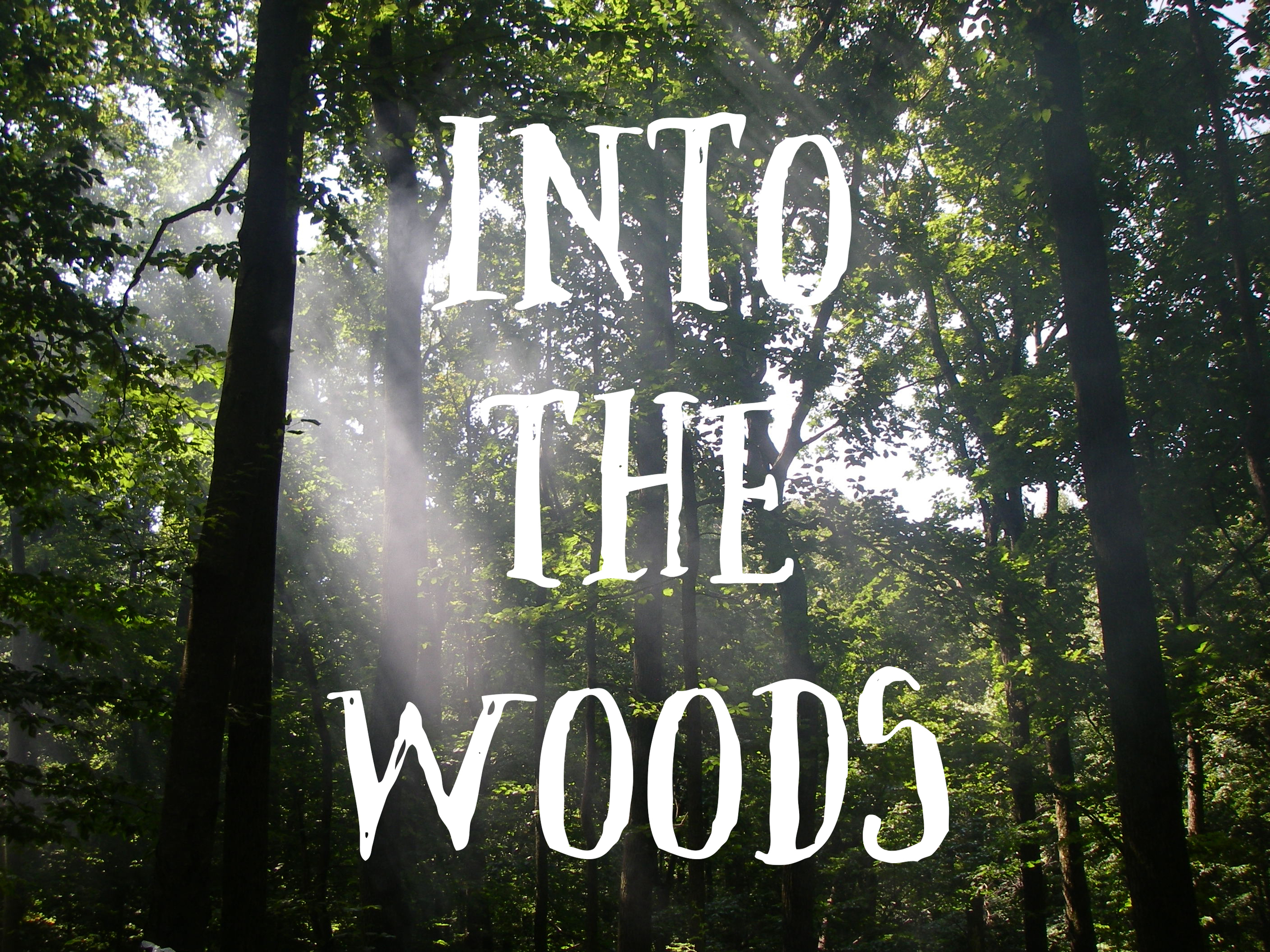 into the woods.jpg