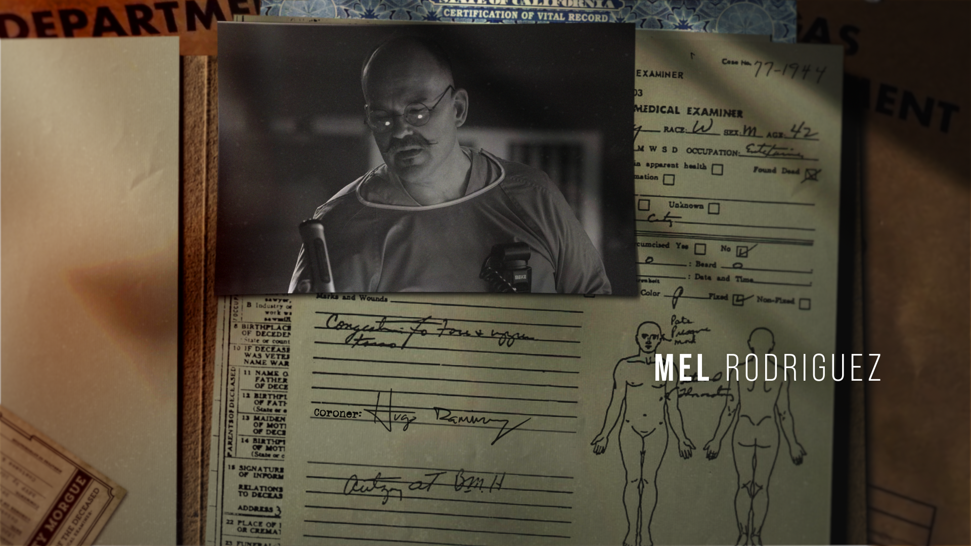 MEL_C_ID_v008.png