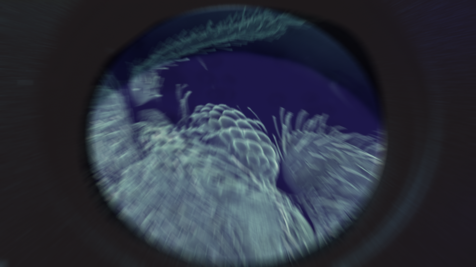 CSI_BUG_02.png