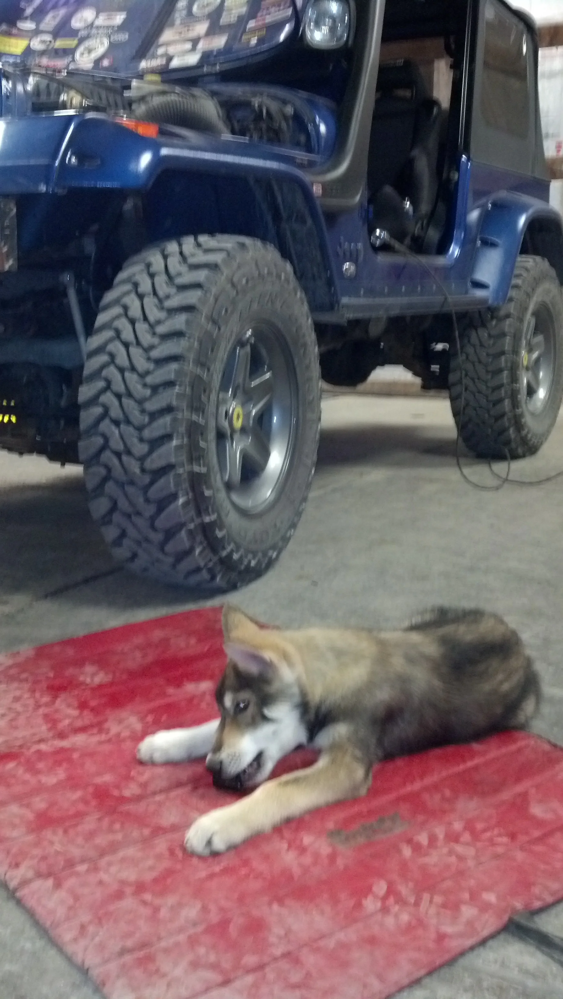 He always “helps” in the shop.