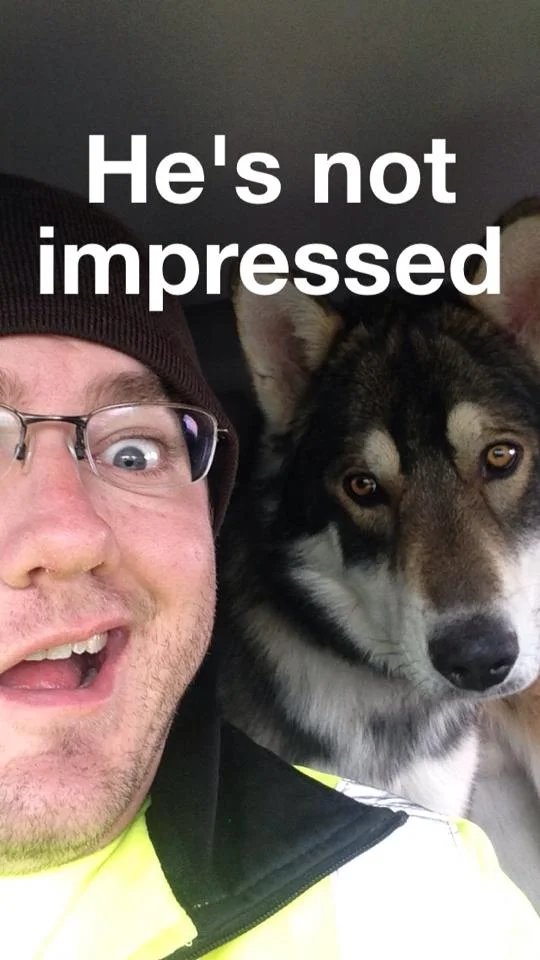 A meme made by Josh Johnson. Still a favorite.