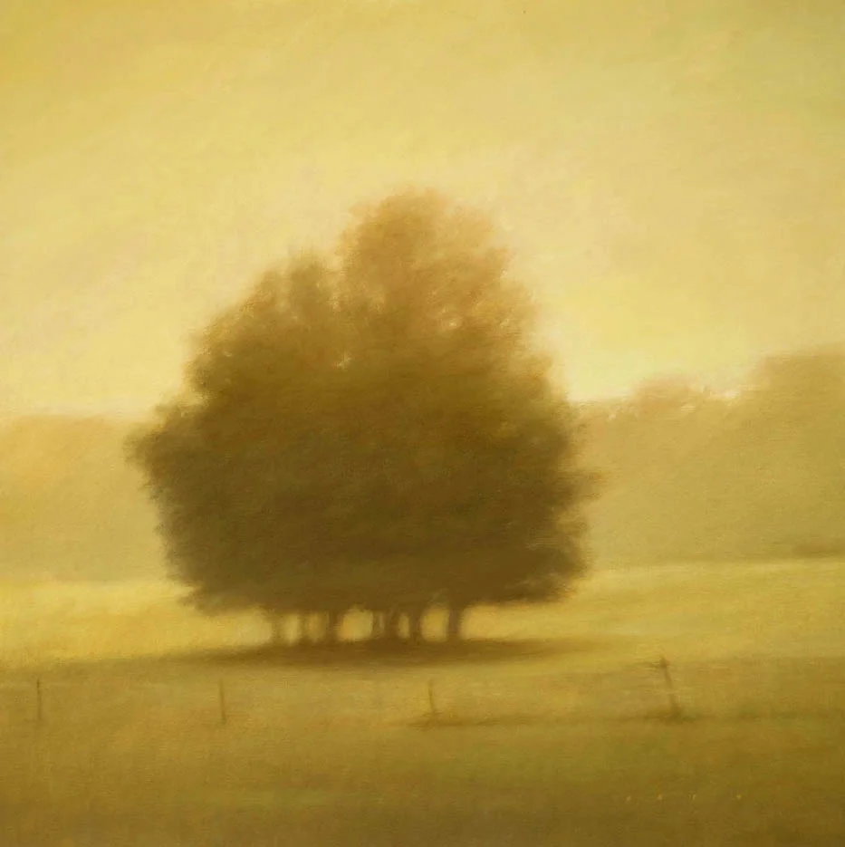 209013 Trees at Dawn- Bach 40x40.jpg