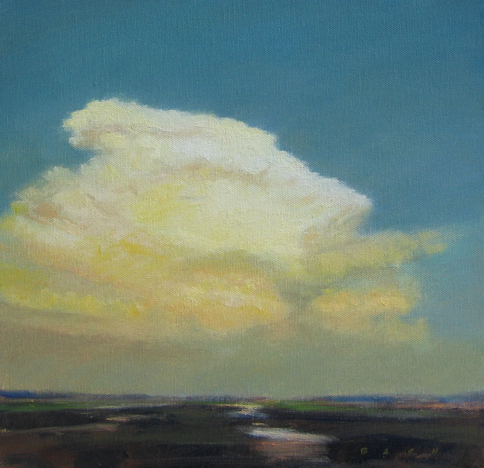 209057 Thunderheads 12x12 .JPG