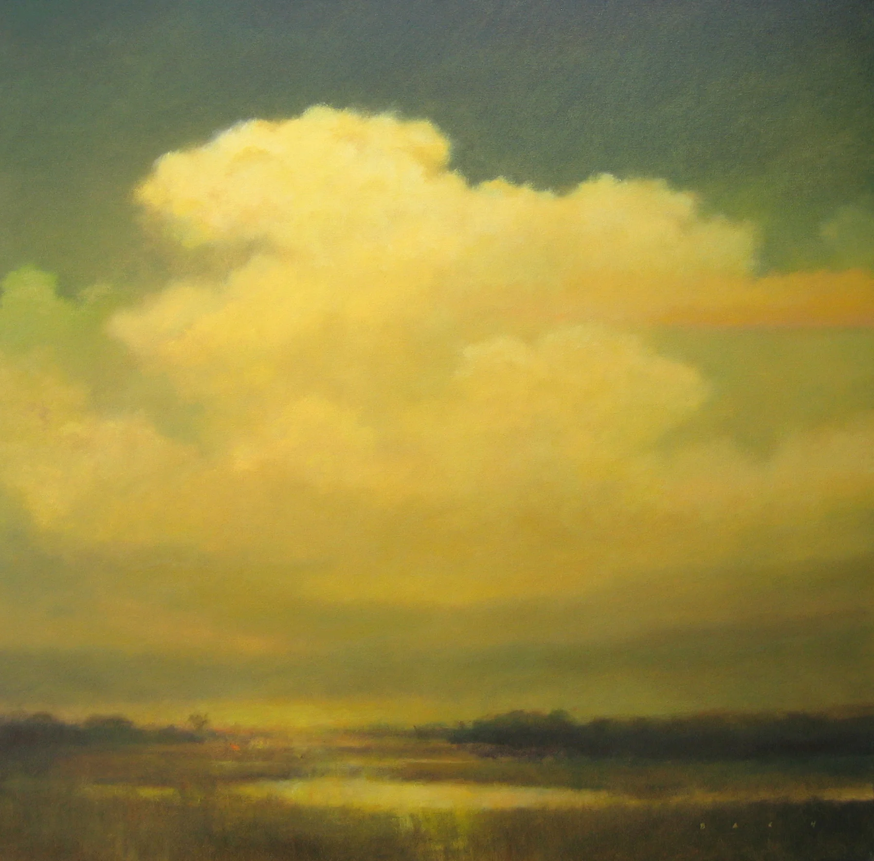 209096 Coming Storm 40x40 - Bach copy.jpg