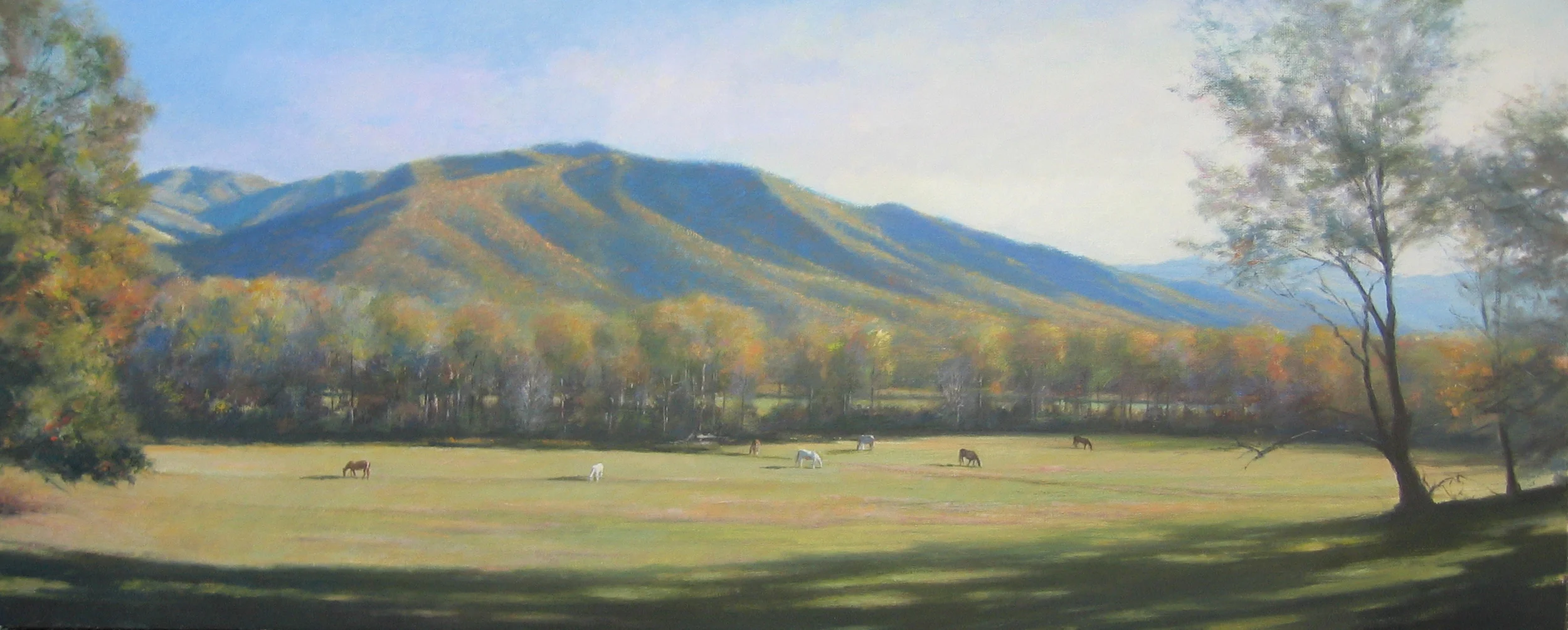Mountain Home 20x50 Bach.jpg