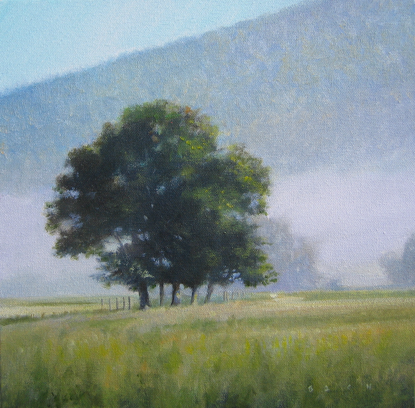 Tree Line 12x12.jpg