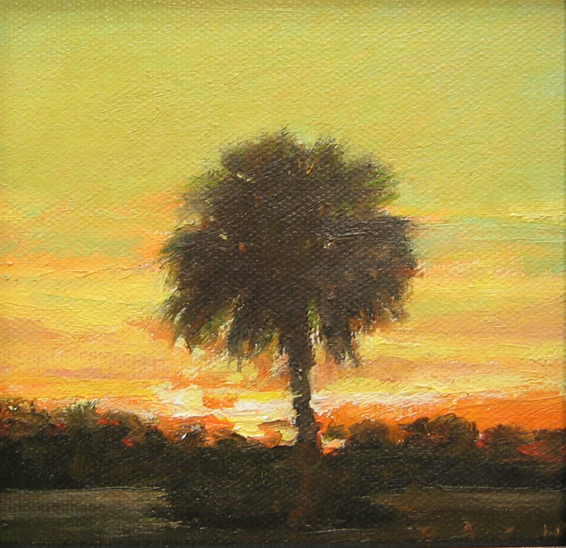 209042 Tree Study oil on canvas 5x5 Bach.jpg