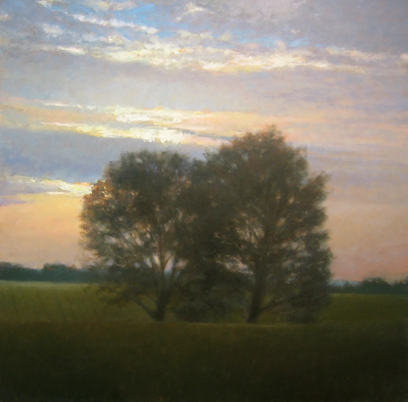 Green Fields 24x24 oil.jpg