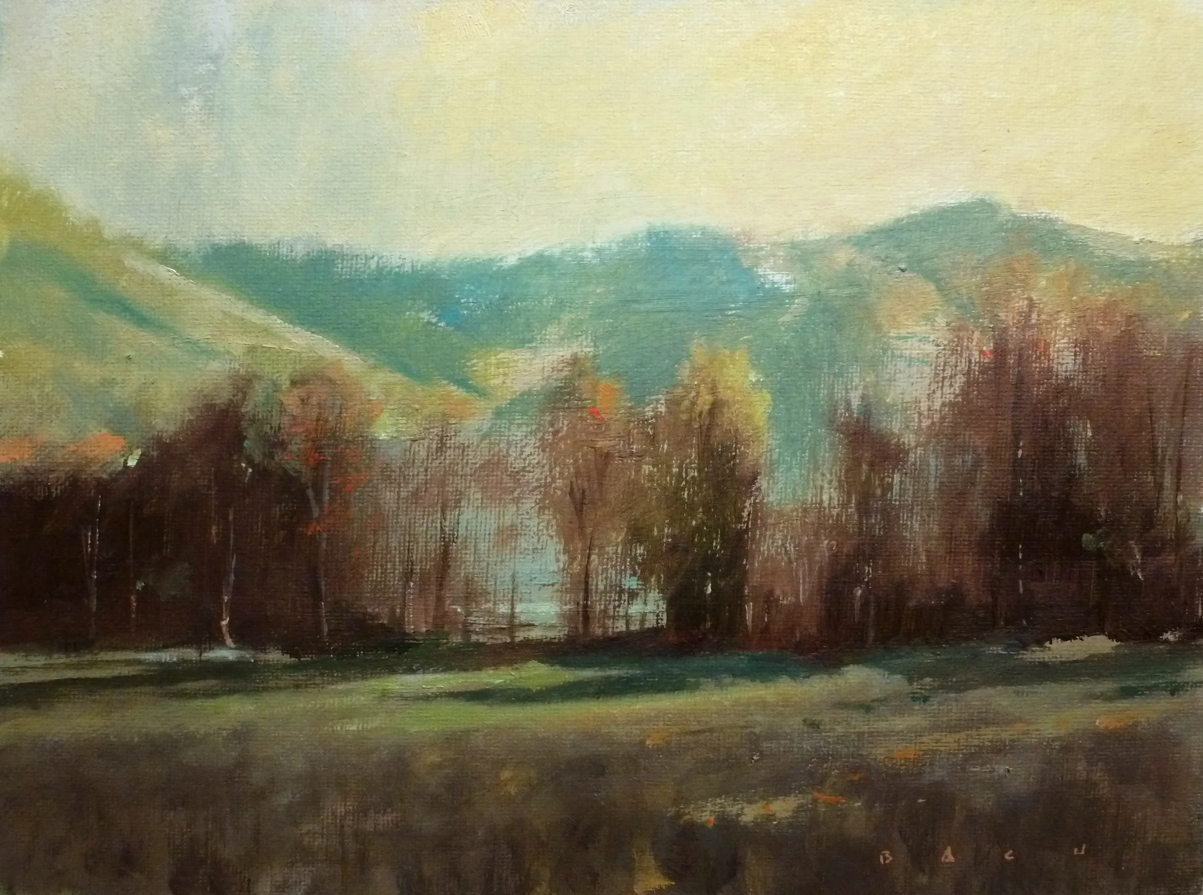 212052 Afternoon Light 9x12.jpg