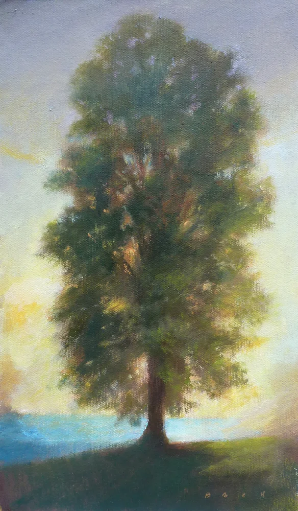 Overlook 13 x 8 copy.jpg