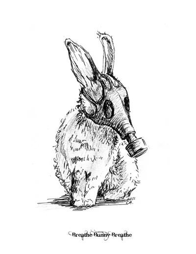 BreatheBunnyLowRes.jpg