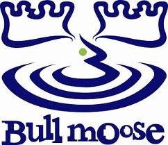 Bull Moose Music