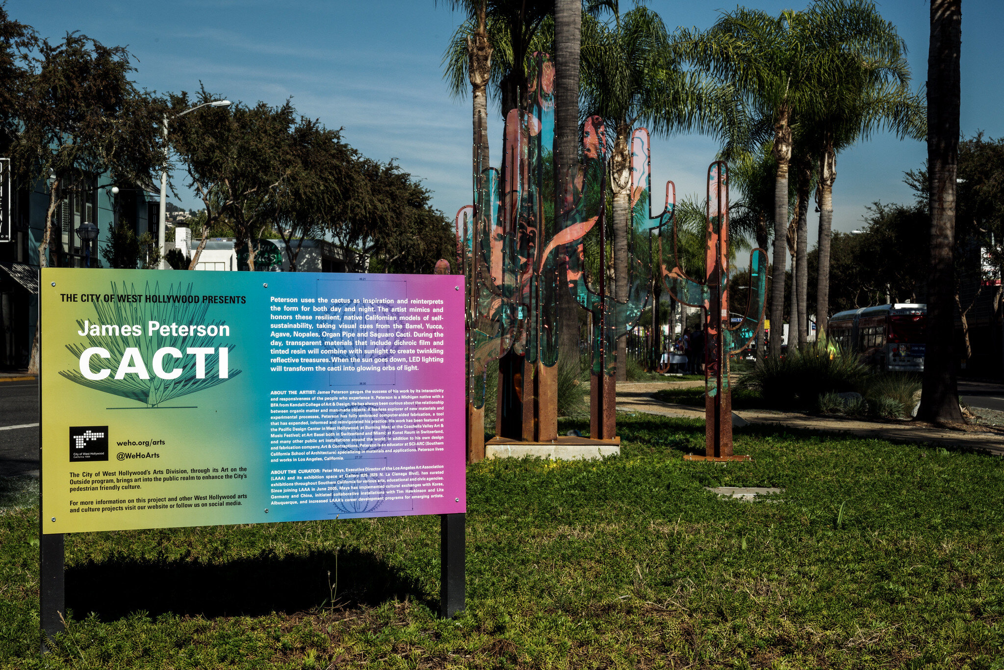 Cacti Sign 2 Santa Moncia Blvd.jpg