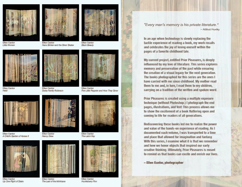 Ellen Cantor Brochure2.jpg