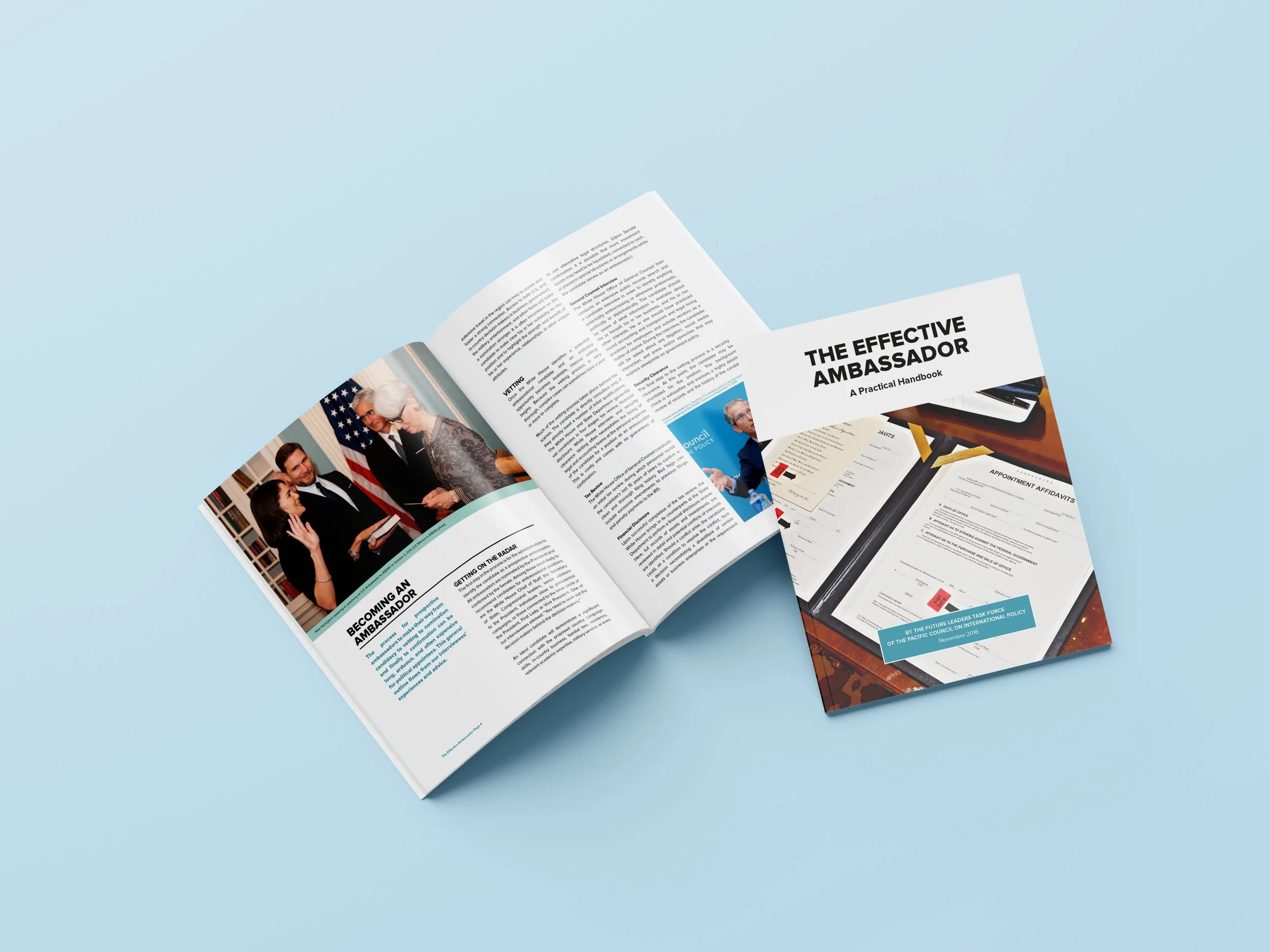 Effective Ambassador.jpg