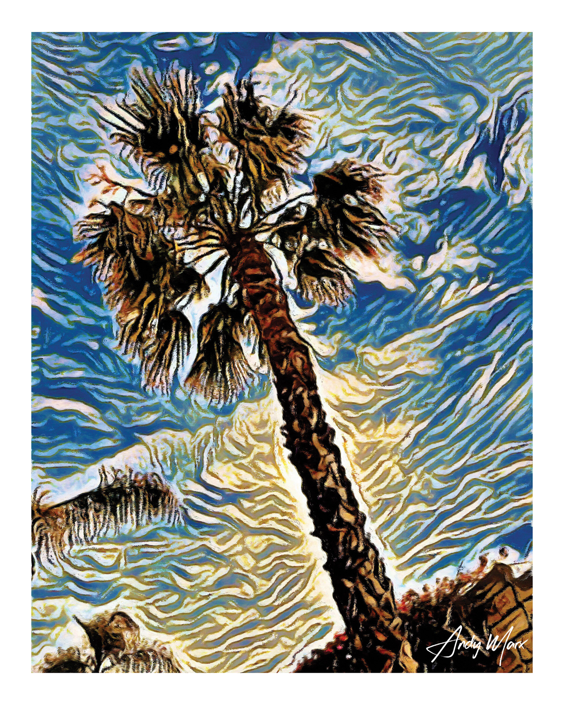 palm tree rgb 1620.jpg