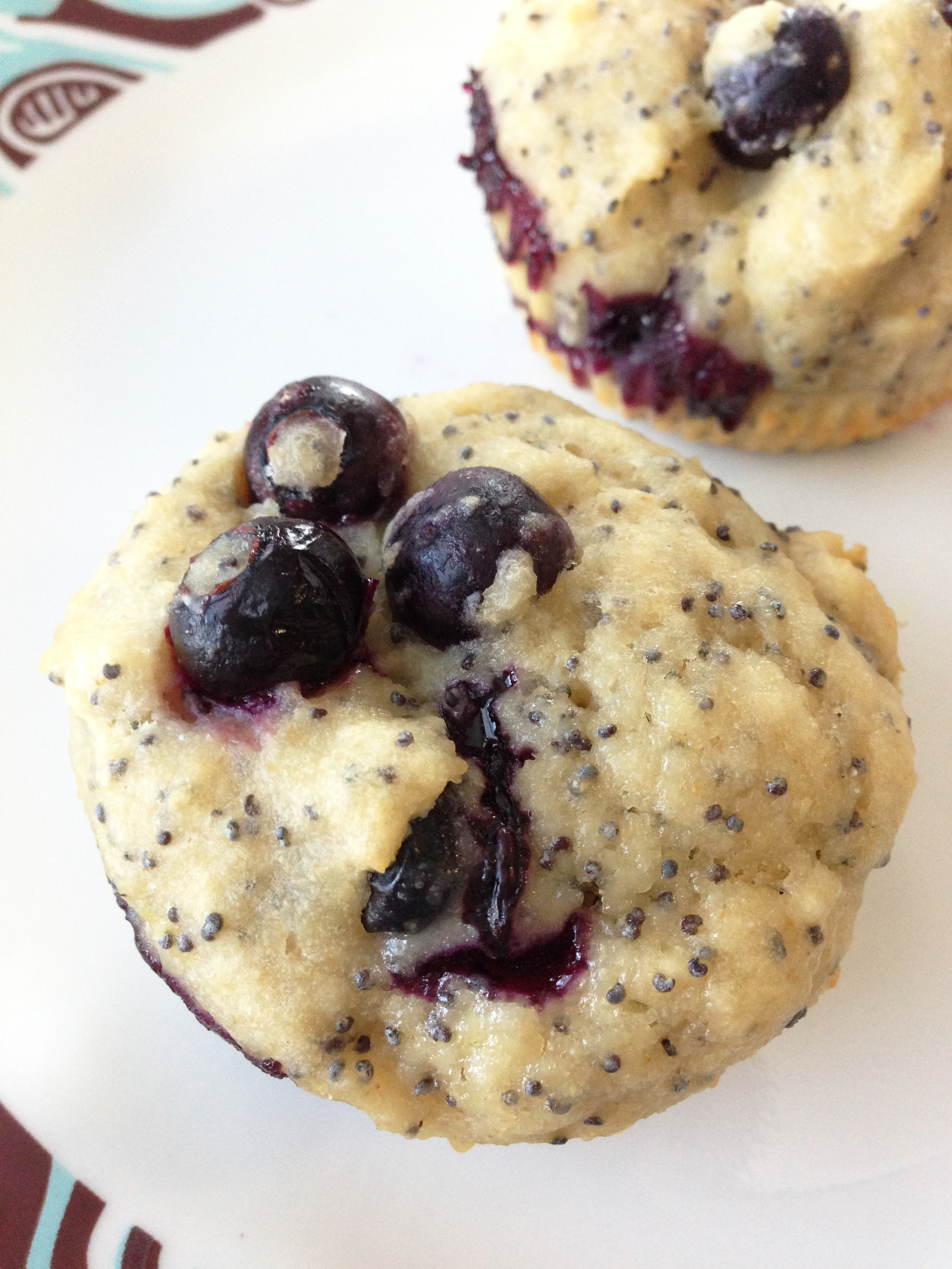 Healthified Lemon Blueberry Poppy Seed Muffins — The Skinny Fork