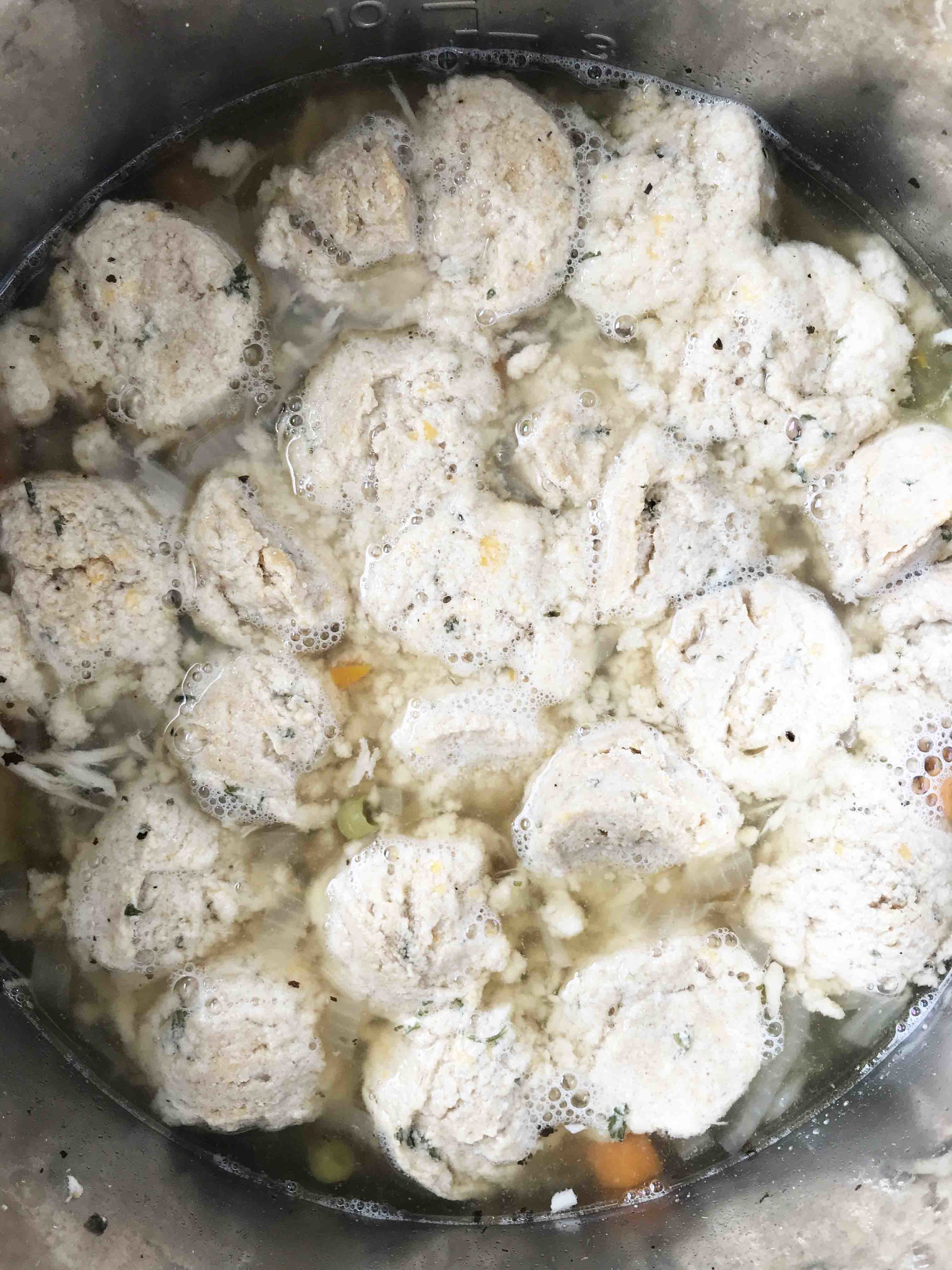 chicken-dumplings7.jpg