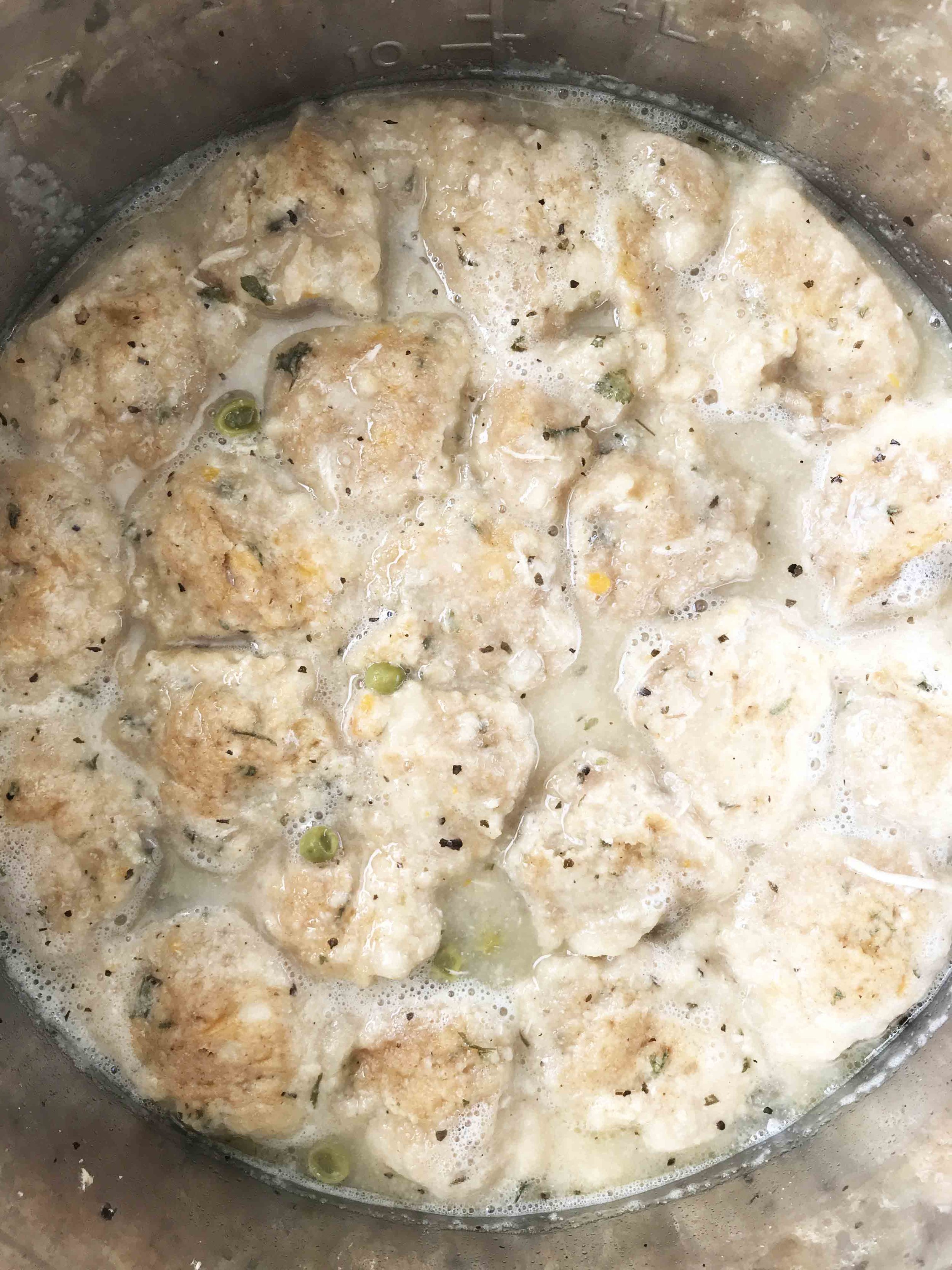 chicken-dumplings8.jpg