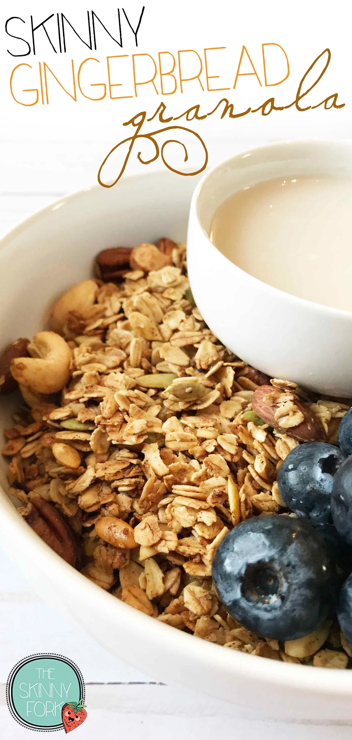gingerbread-granola-pin.jpg