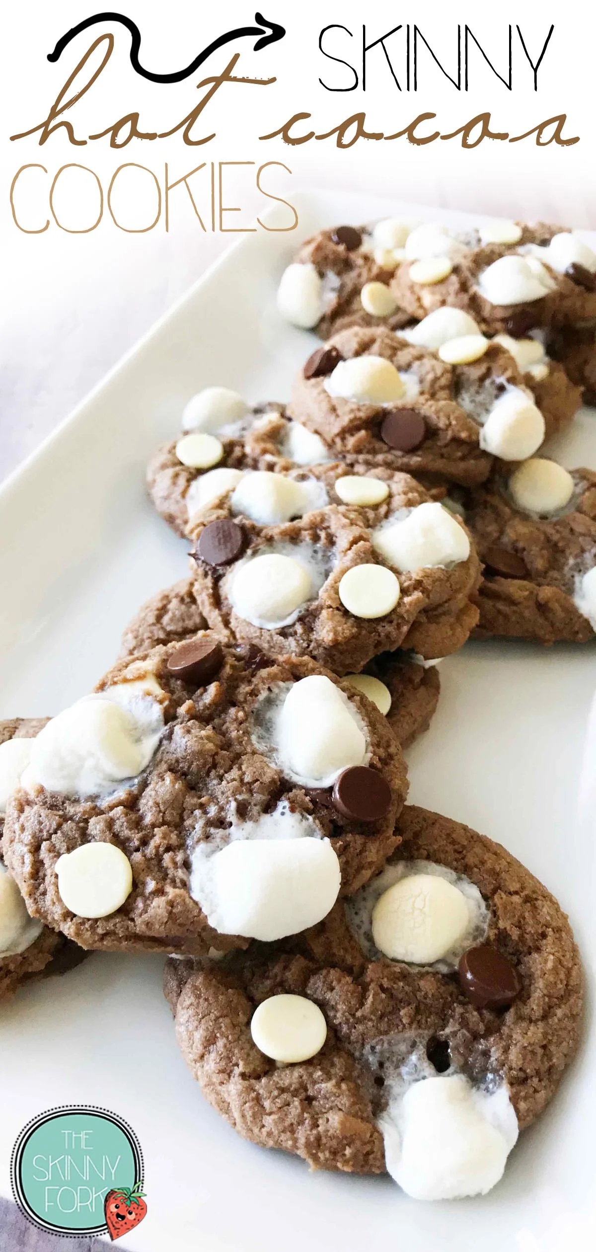 cocoa-cookies-pin.jpg