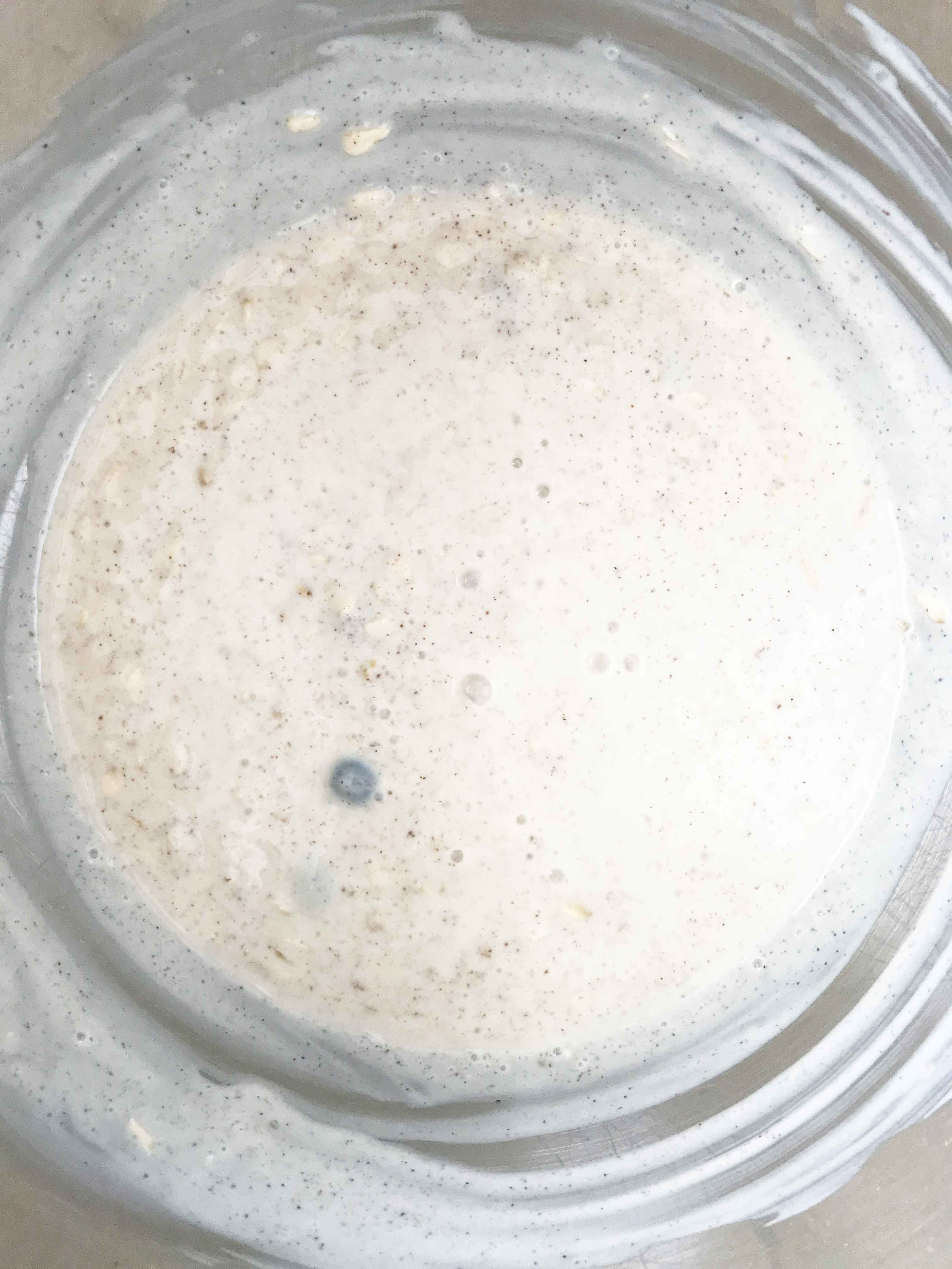 blueberry-muffin-overnight-oats2.jpg