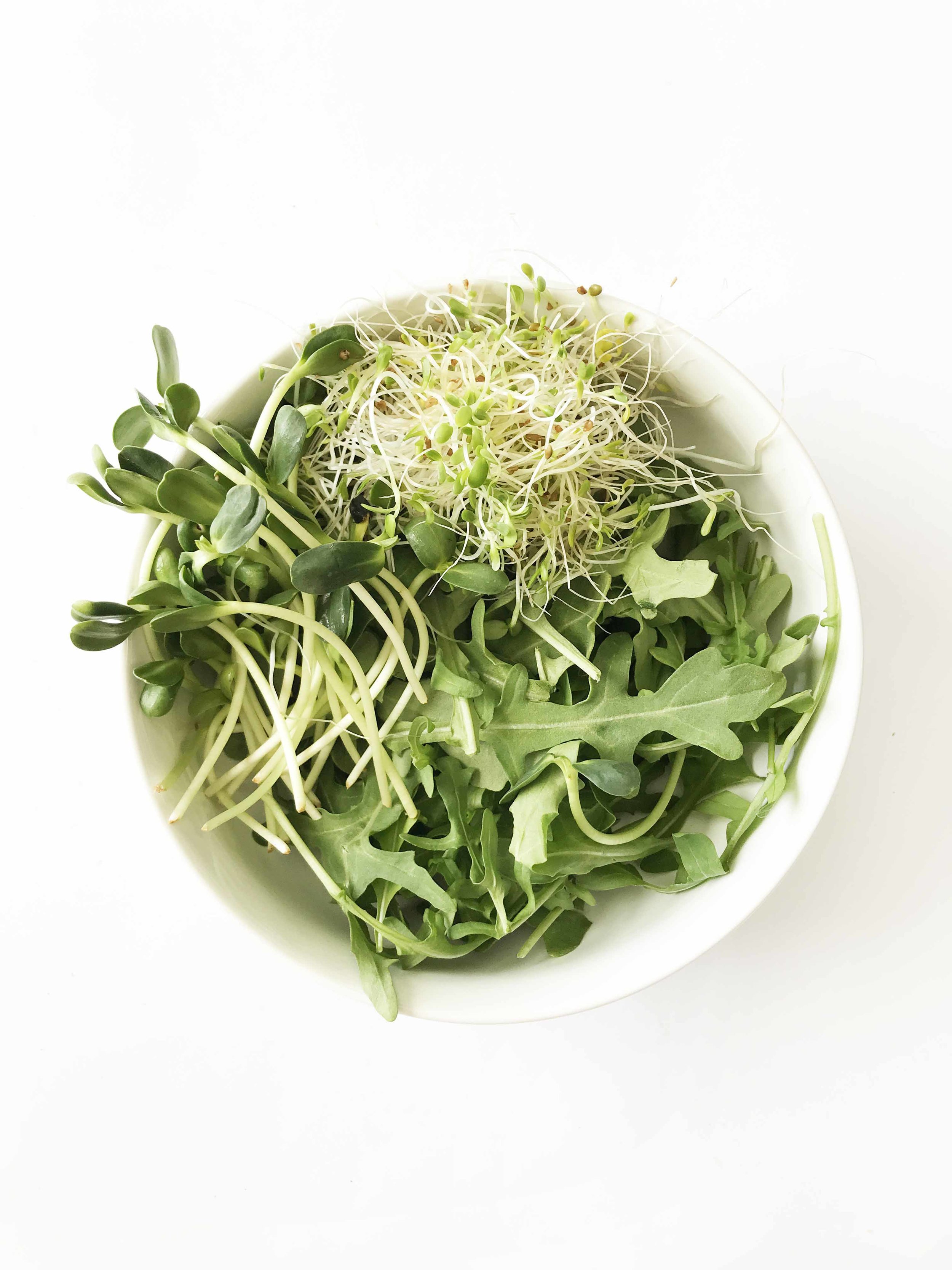 fairy-garden-salad6.jpg