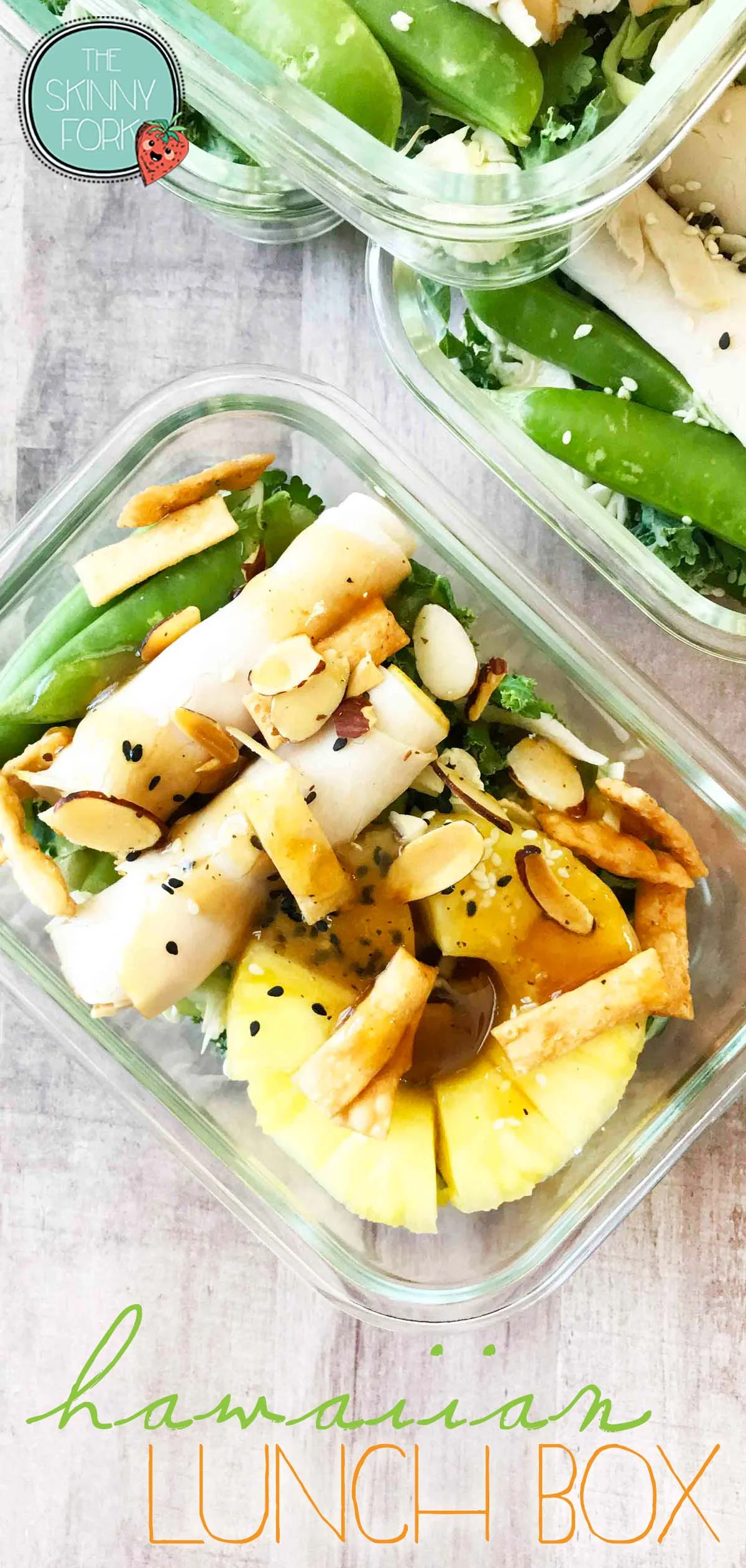 hawaiian-lunchbox-pin.jpg