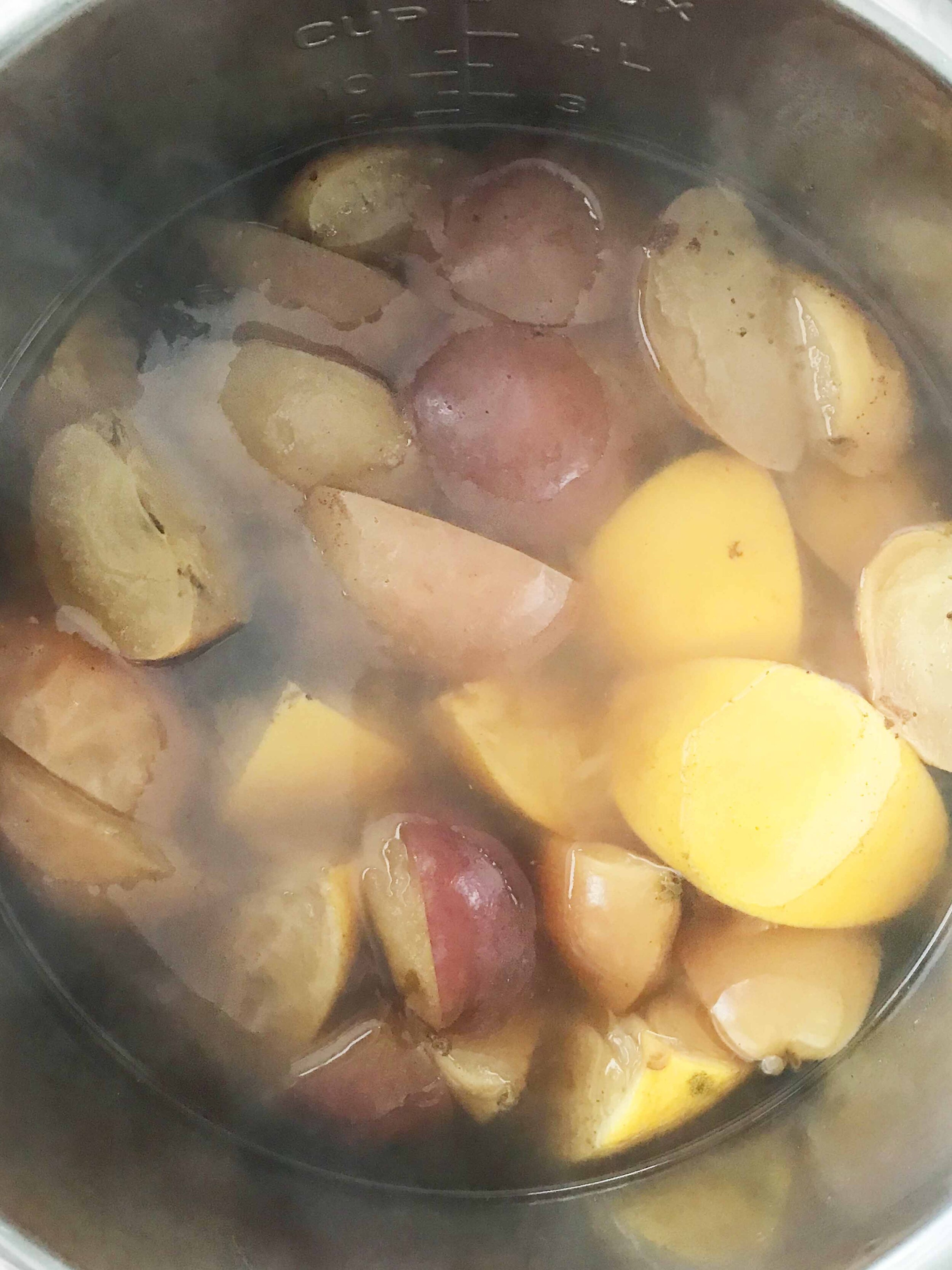 instant-pot-apple-cider2.jpg