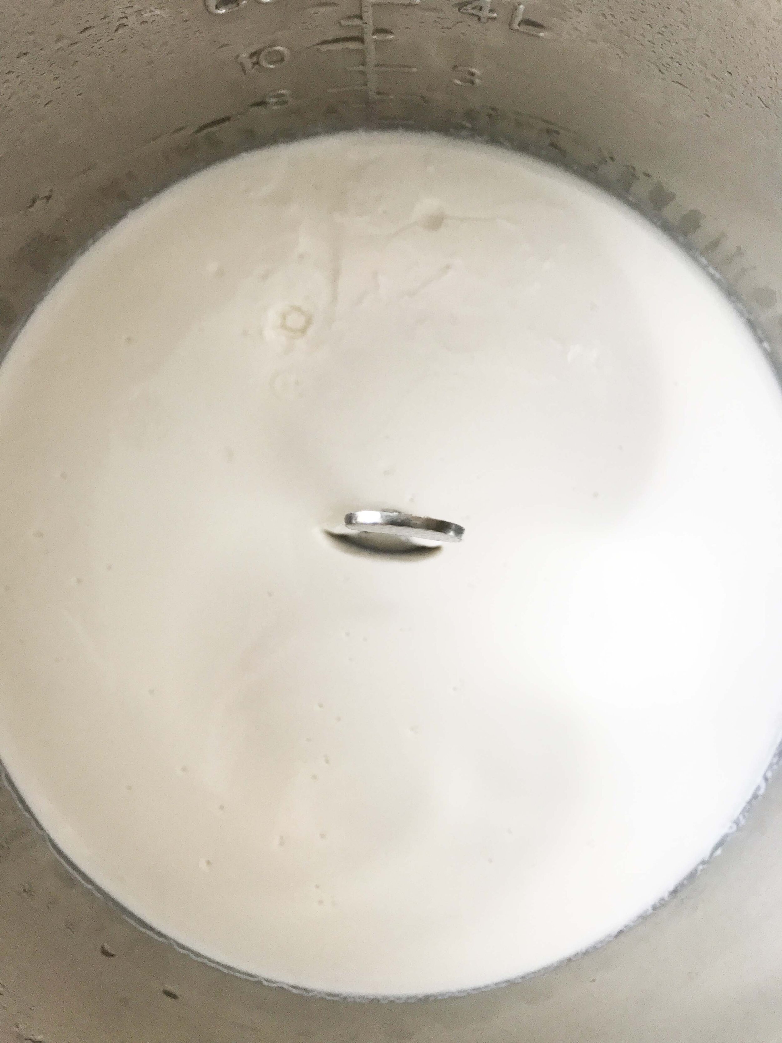 vanilla-greek-yogurt4.jpg
