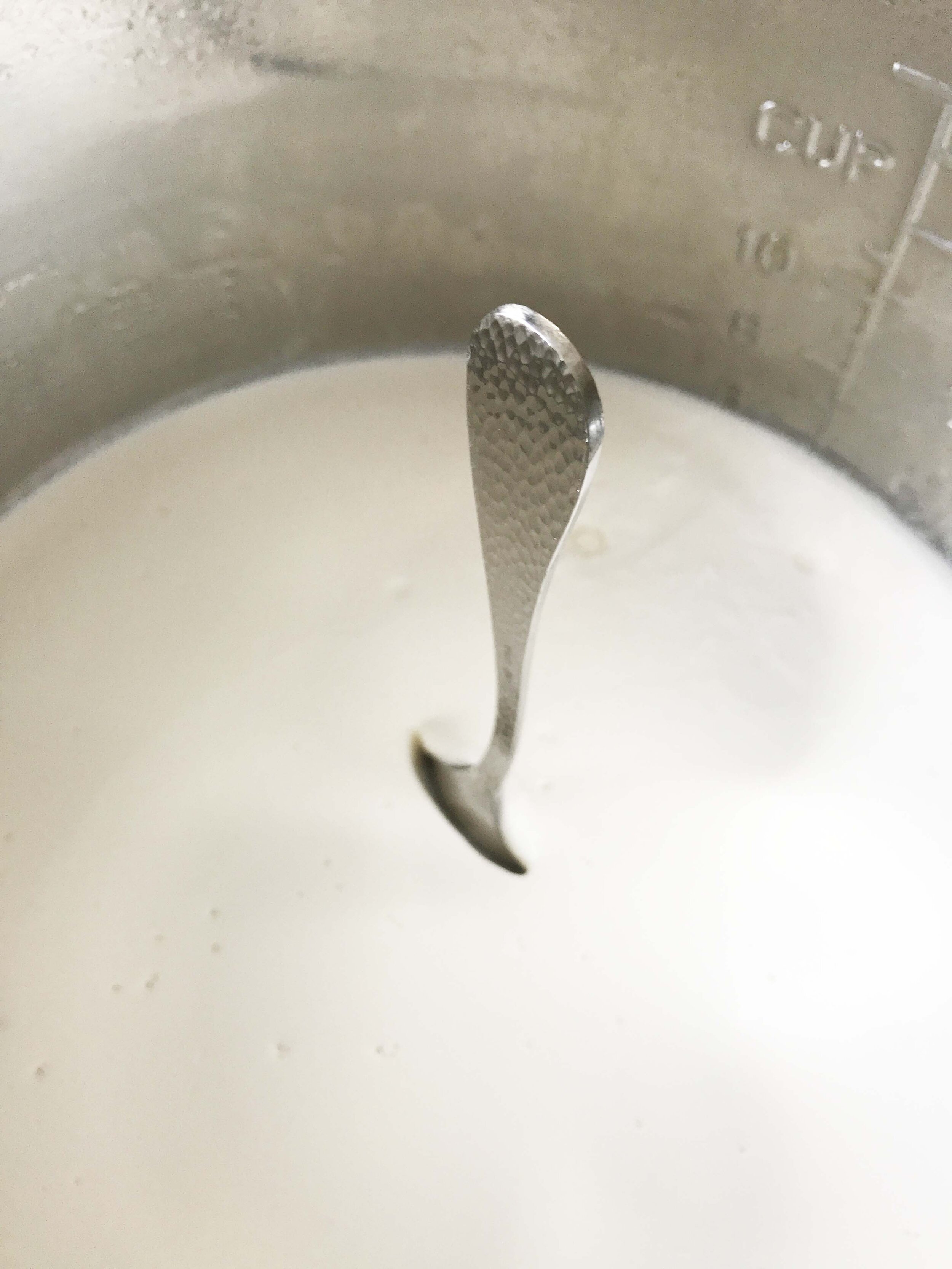 vanilla-greek-yogurt5.jpg