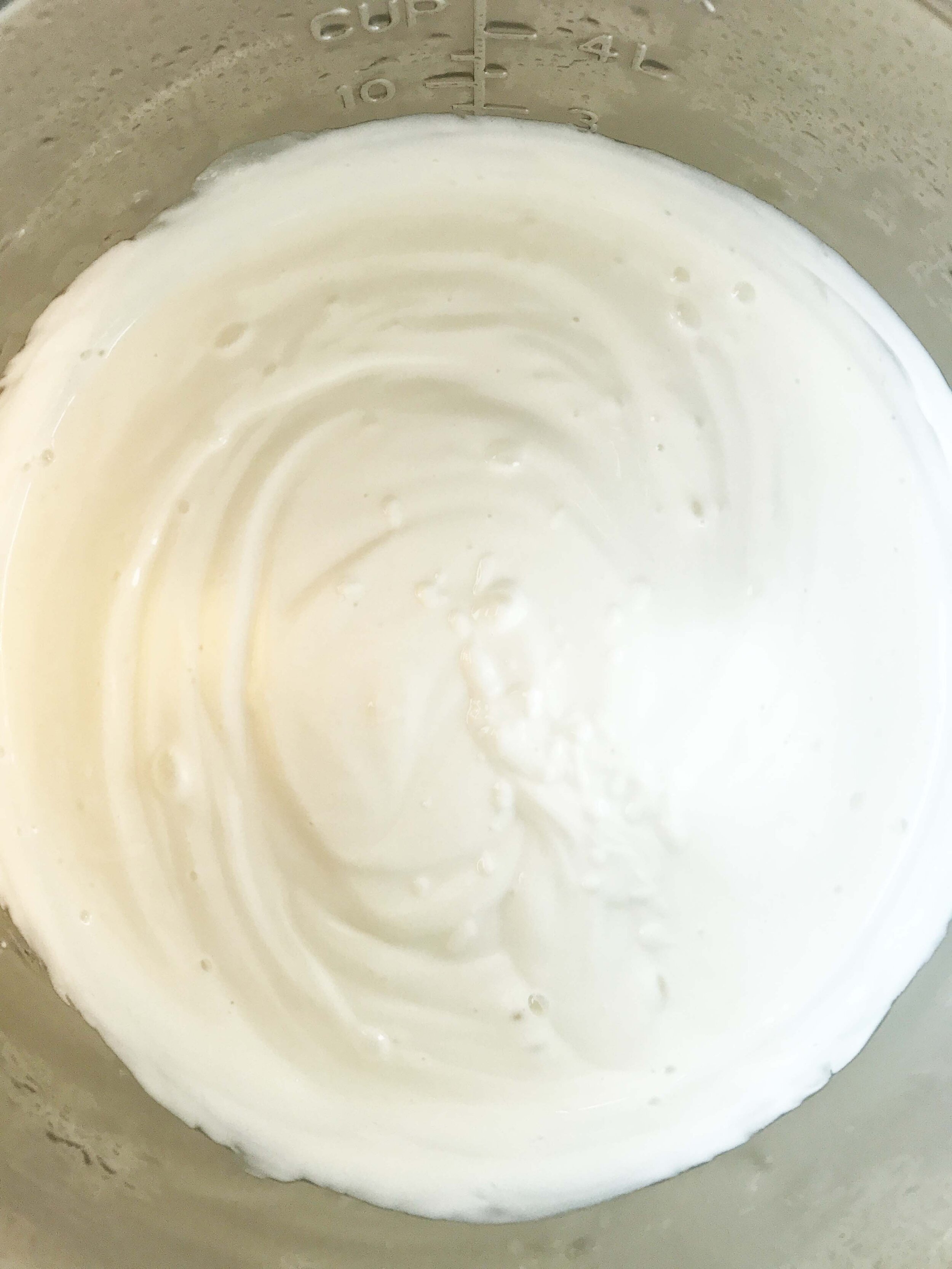 vanilla-greek-yogurt6.jpg