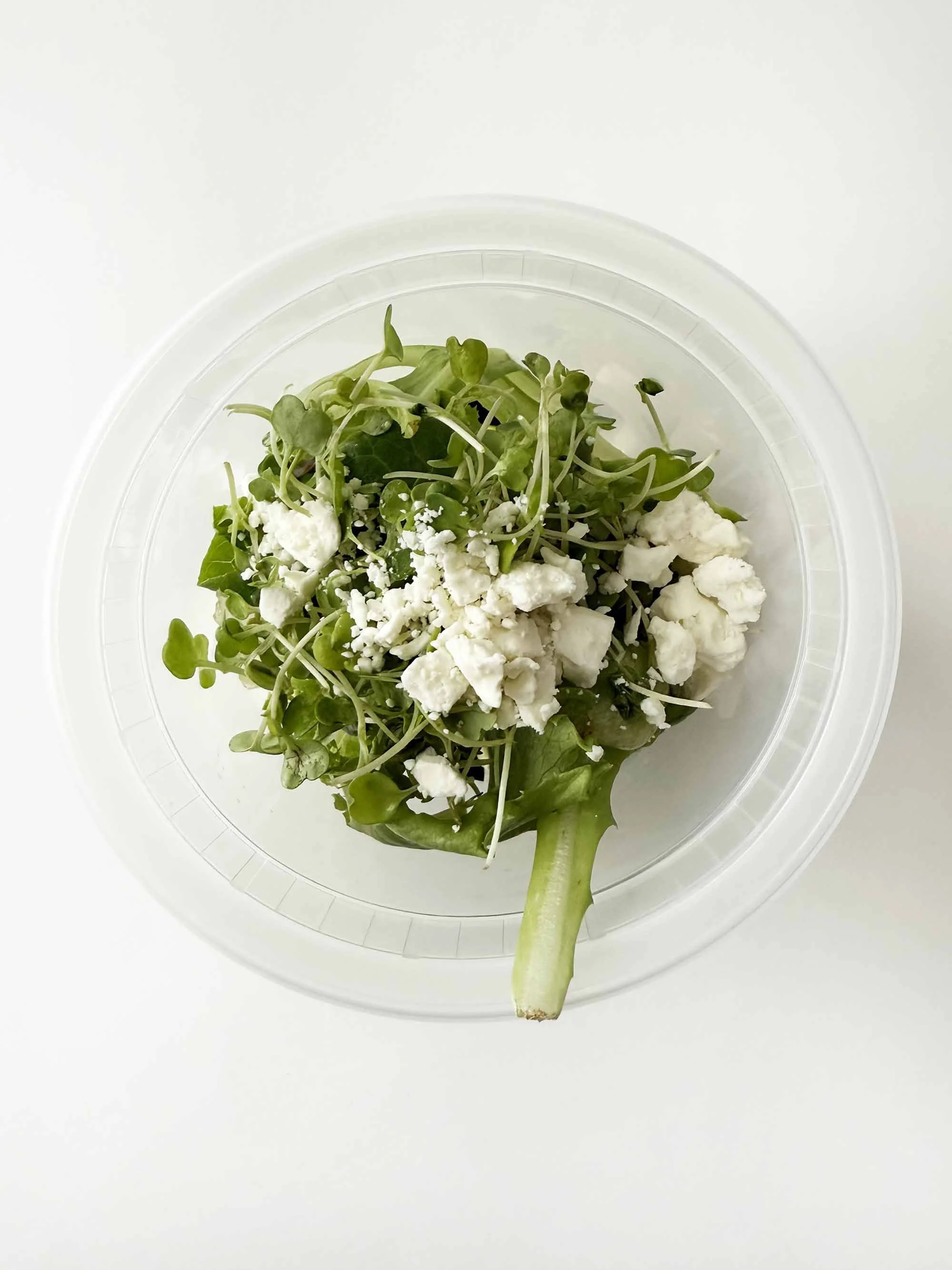 sugar-snap-jar-salad2.jpg