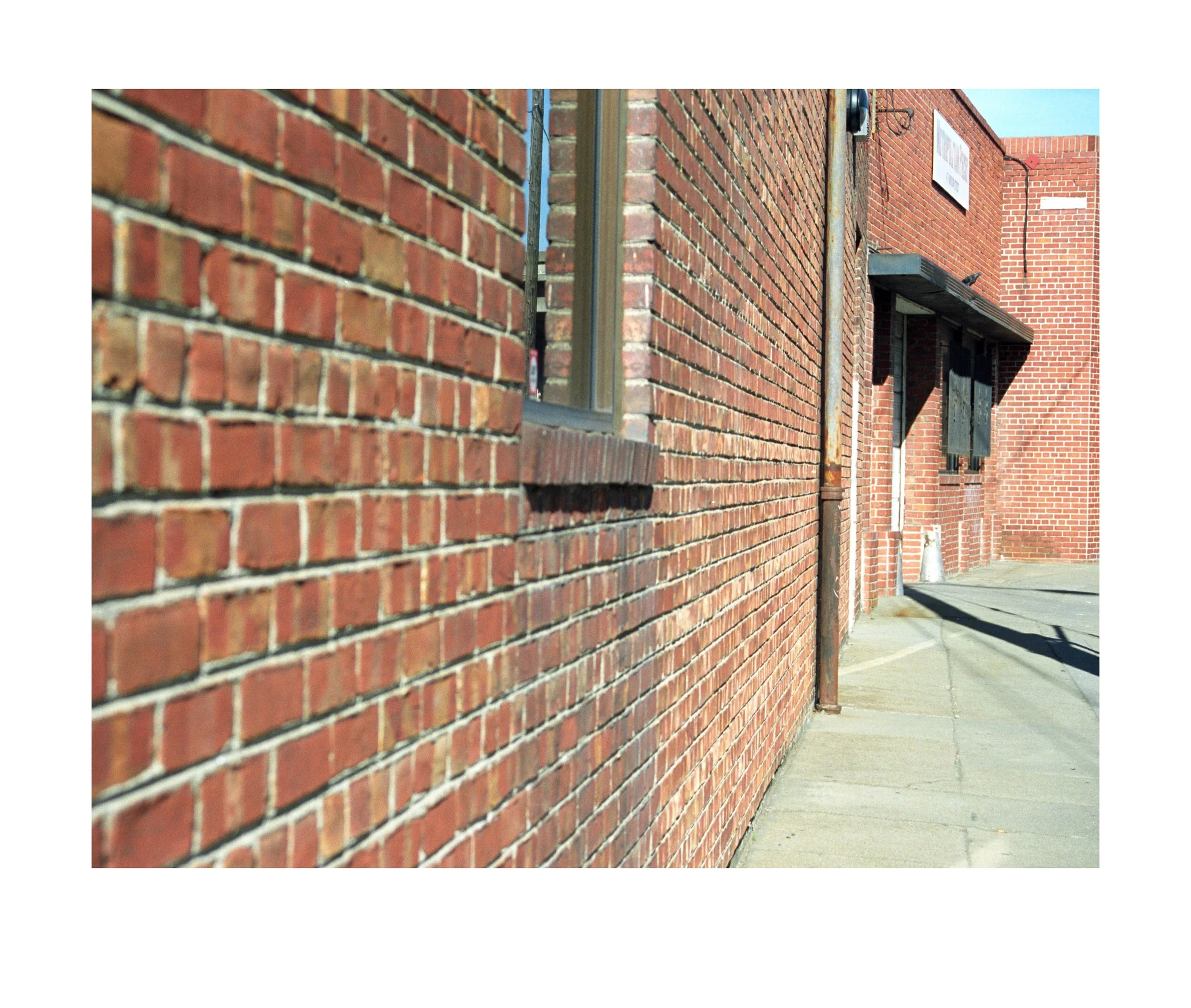 image9.jpg