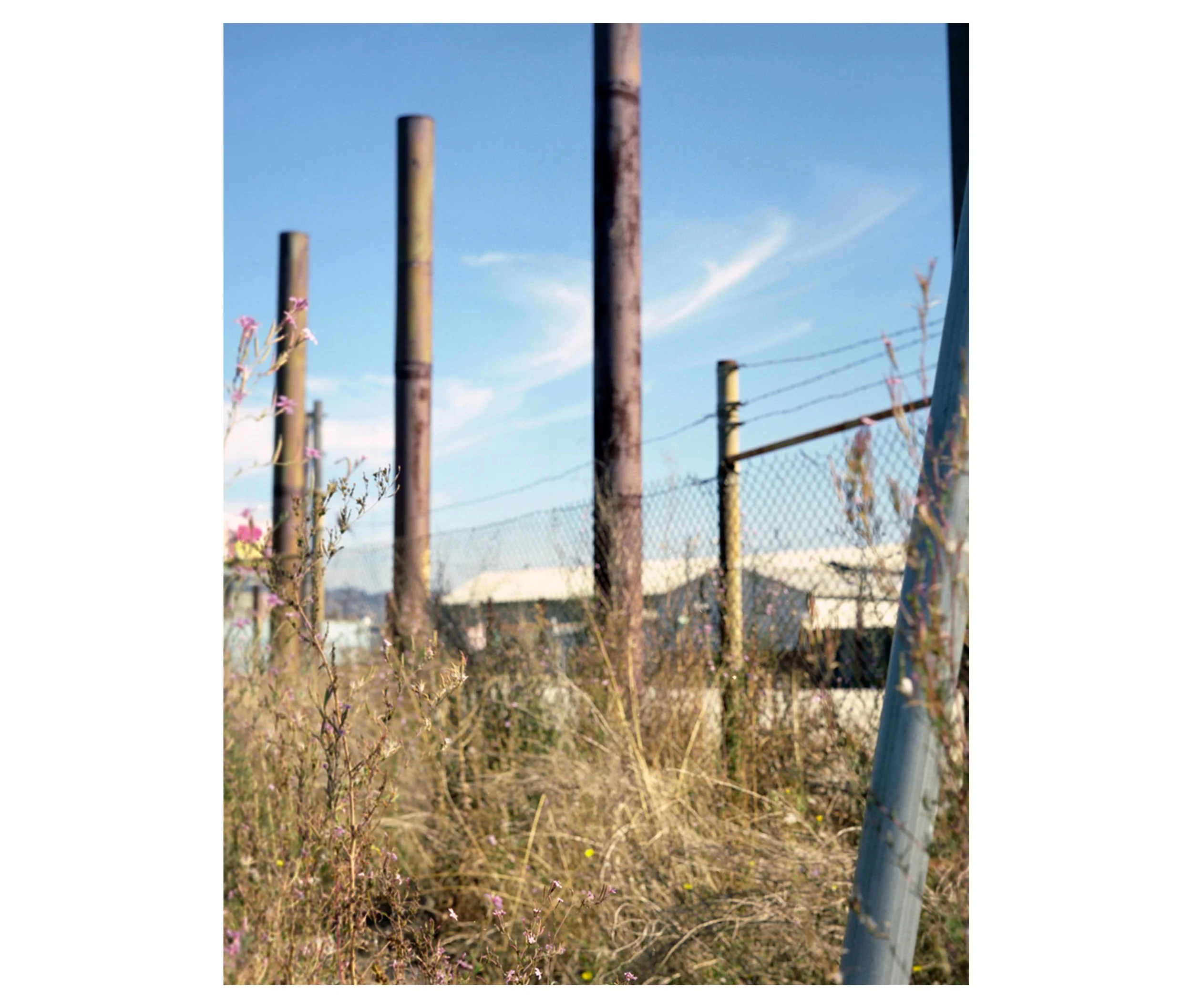 image12.jpg