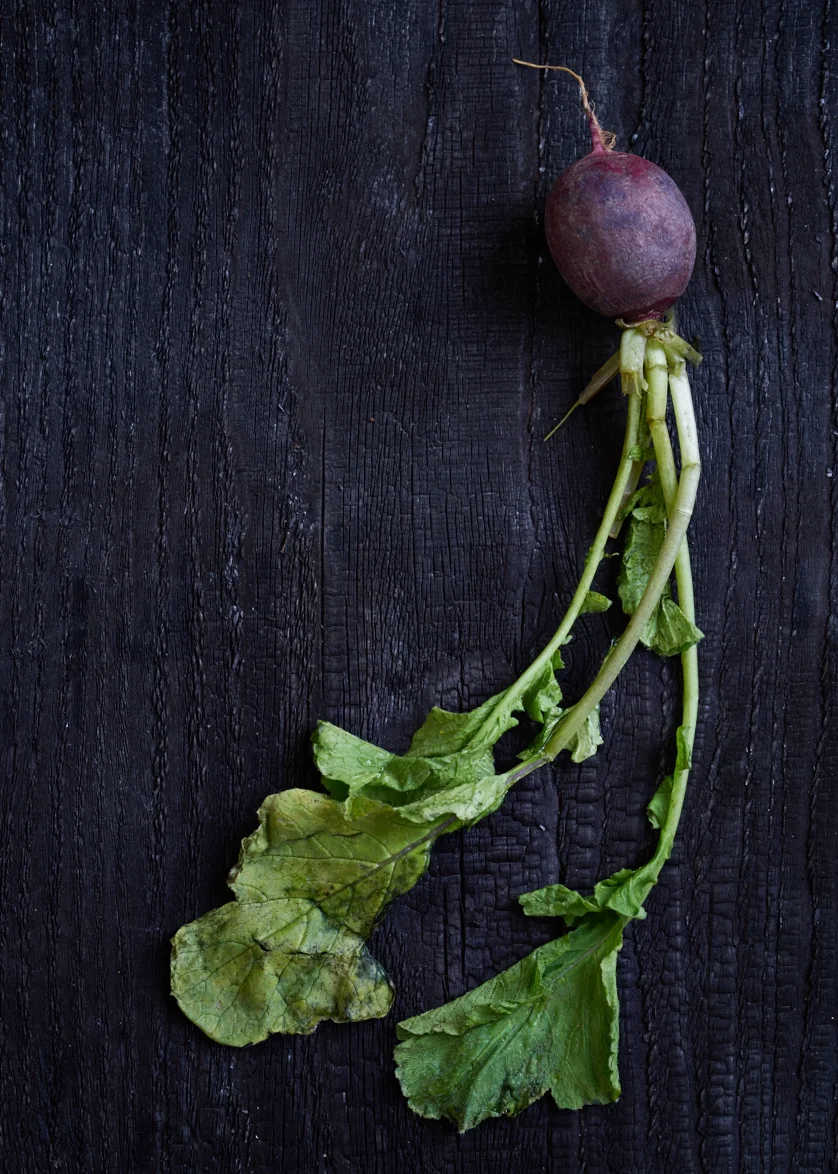 20151028_StillLife_0069.jpg