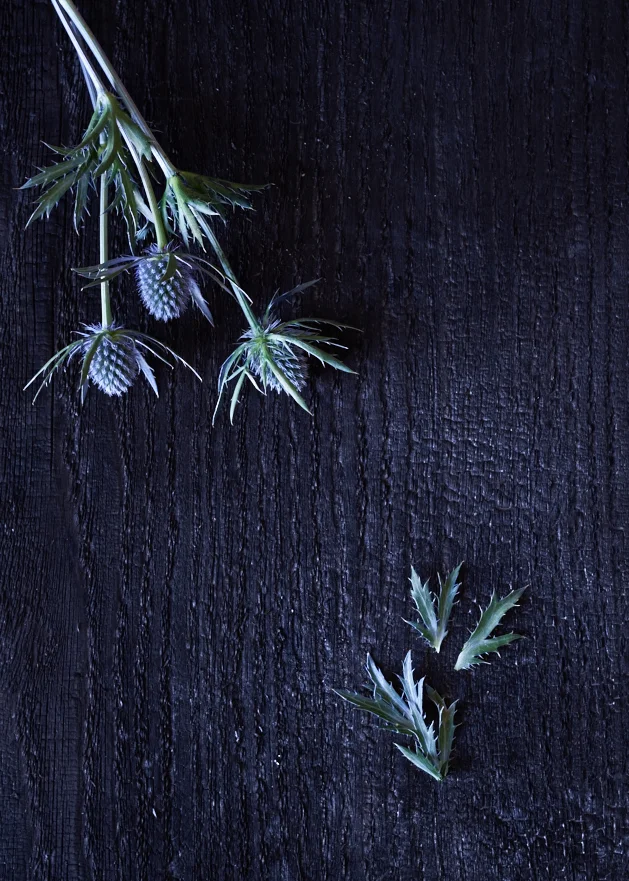 20151028_StillLife_0124.jpg