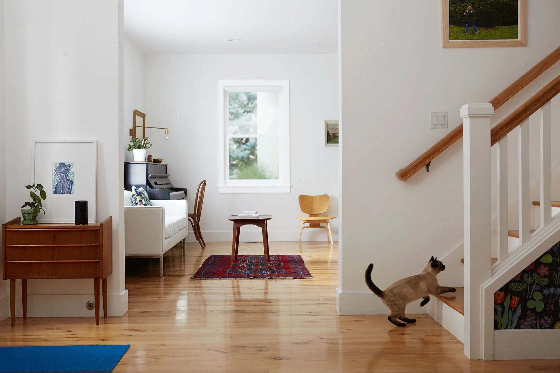 151106_Canary_Coleman_Home_056.jpg