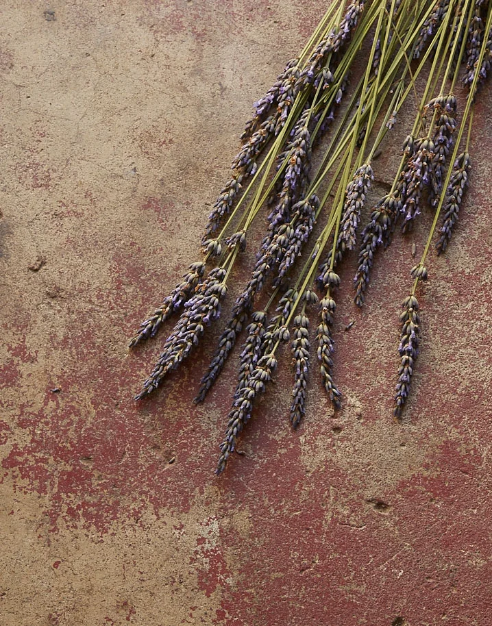 06_27_2016_Test_Nyssa_333_Lavender_v1.jpg