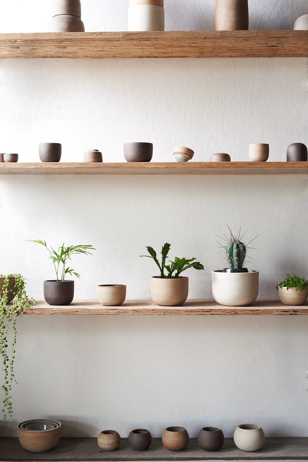 ClutierCeramics_Shelves_025.jpg