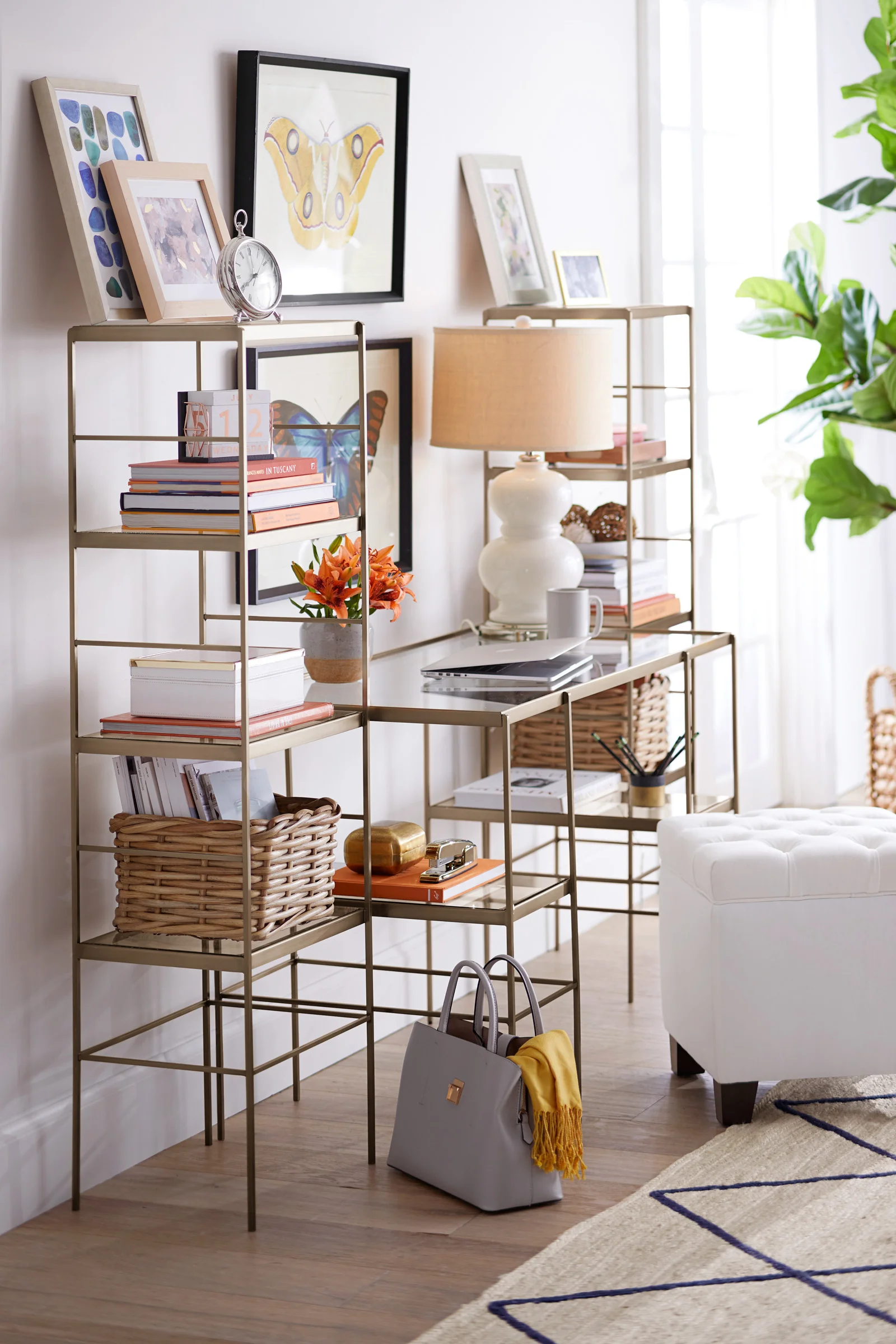 W18sp12RSshelving_v1_jb-01x.jpg