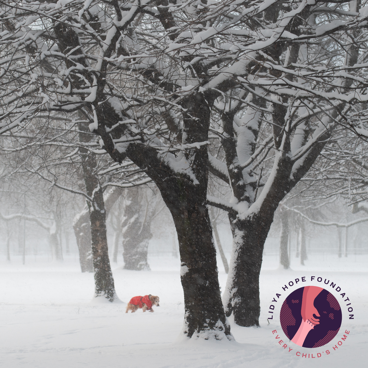 cover - walking wenceslas.png