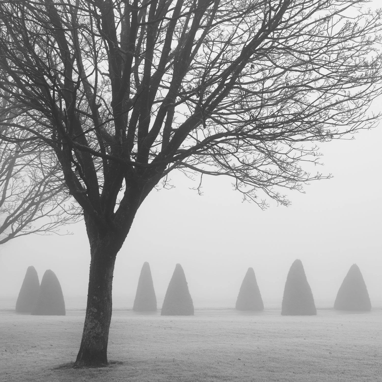 Paris in Glasgow - DSC_3292-Edit - circa35mm.jpg