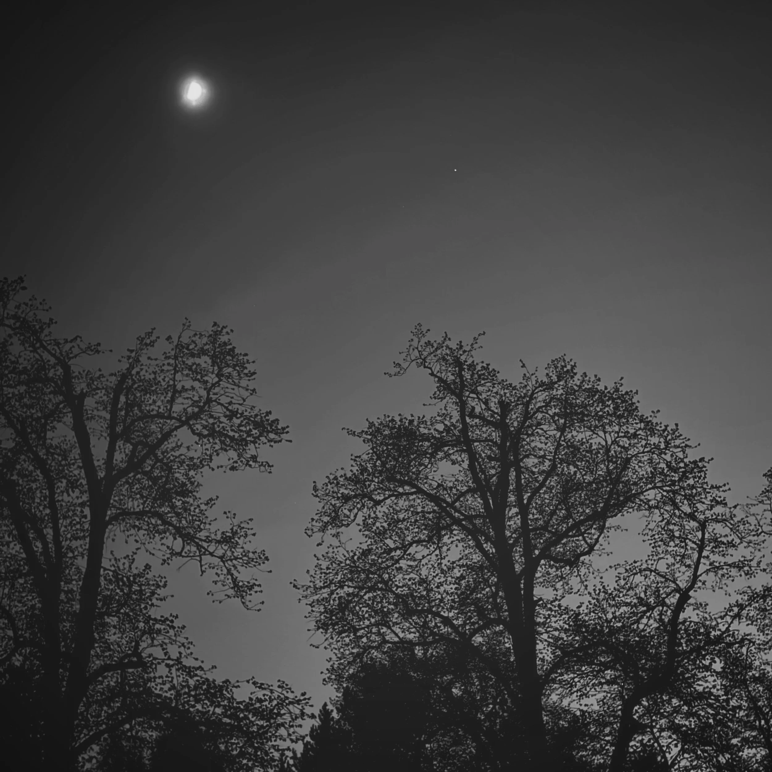 It was a challenge this week, despite taking several images over the weekend none of them worked well as mono edits, at least not using the phone.
The scenes felt busy, too much contrasty detail, and just not the simplicity I like.
However, that is