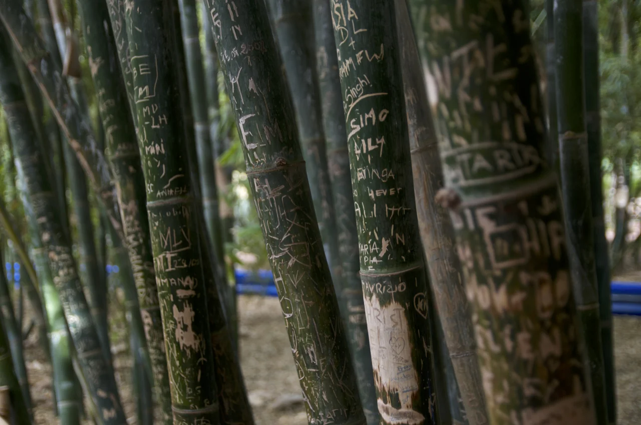 Marrakech - Bambooed - DSC_0912.jpg