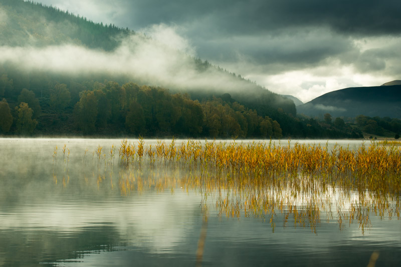 The Day Stirring Slowly