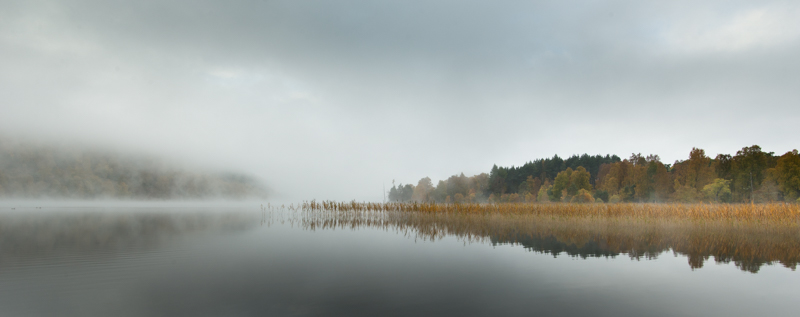 Autumn Mist on Loch PItyoulish #1