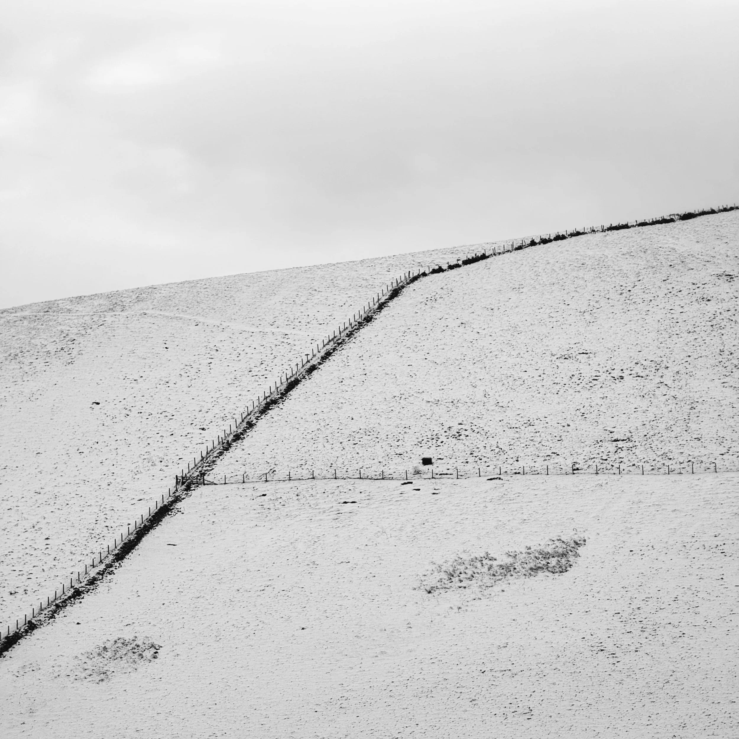 A couple of lovely mornings marching around in the snow with a ice cold wind blowing in the face.
Given the speed at which I process work taken on the camera, I’m going to share more pictures taken on my phone.
I do like good Field Lines.