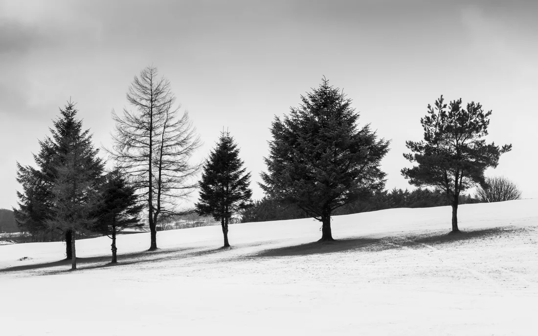 102mm | F8 | 1/320s