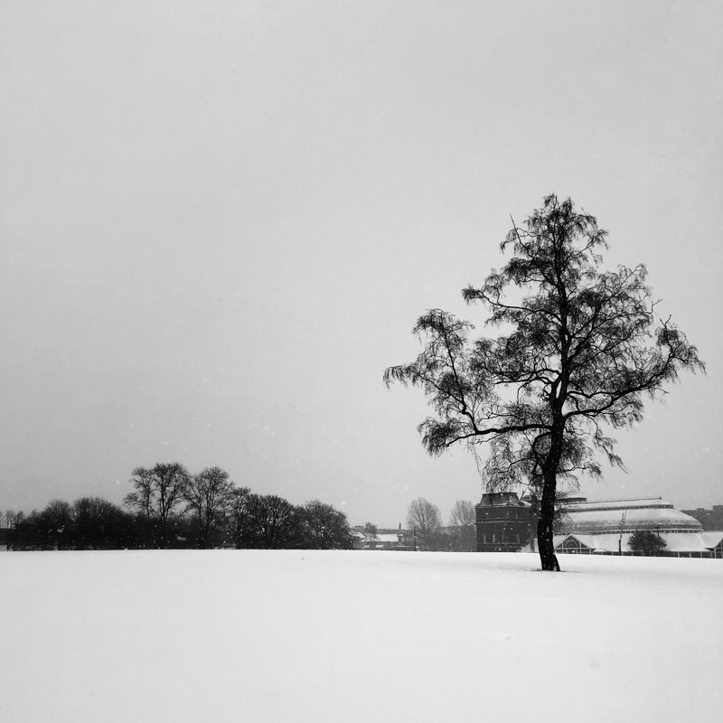 Glasgow Snow